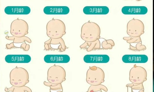 吃什么能减内体脂肪网—知名的吃什么能减大肚子最有效网站,分享吃什么可以减肚子最快最有效知识