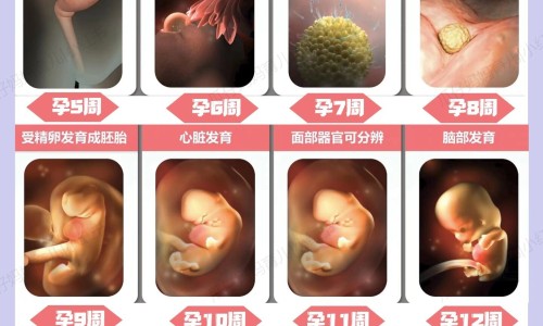吃什么能减内体脂肪网—知名的吃什么能减大肚子最有效网站,分享吃什么可以减肚子最快最有效知识