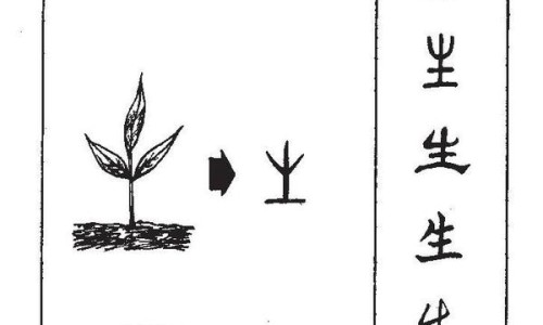 吃什么能减内体脂肪网—知名的吃什么能减大肚子最有效网站,分享吃什么可以减肚子最快最有效知识