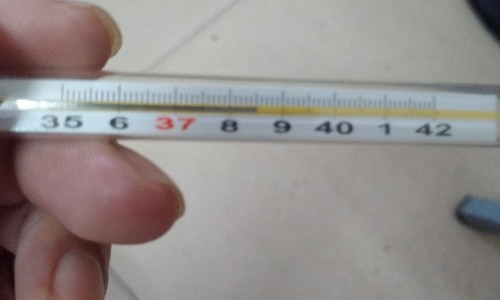吃什么减脂肪最快最有效-吃什么能减内体脂肪网—知名的吃什么能减大肚子最有效网站,分享吃什么可以减肚子最快最有效知识